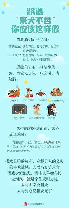 路遇“来犬不善” 你应该这样做