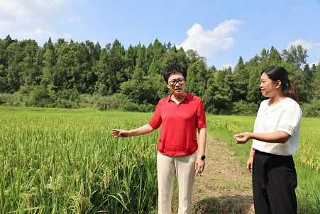 彭玉秀调研督导河长制、田长制、生态环保、防汛减灾工作